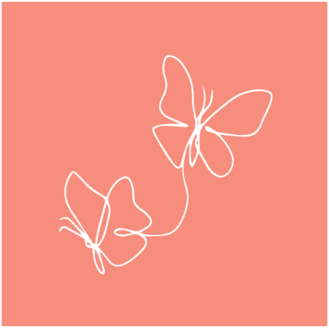 transparent continuous line art of two floating butterflies - Download Free Stock Videos Pikwizard.com