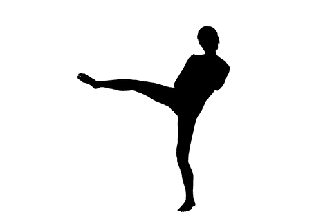 transparent silhouette of male martial artist kicking pose minimalist vector - Download Free Stock Videos Pikwizard.com