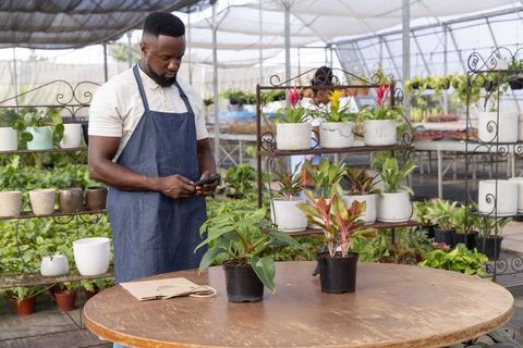 Greenhouse worker checking smartphone while arranging potted plants on round wooden table