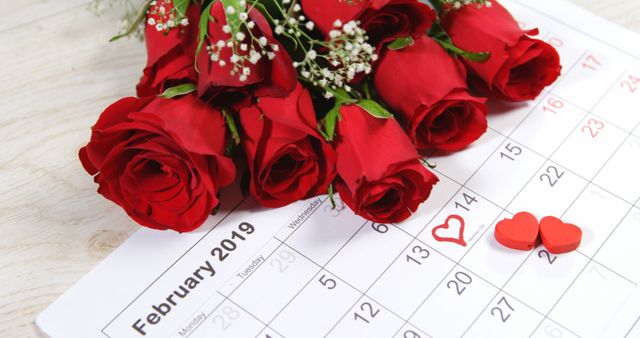 Red roses placed on a February 2019 calendar highlight Valentine's Day on the 14th, denoted by a heart symbol. Ideal for content related to romantic celebrations, Valentine's Day promotions, event planning, florists, or gift-giving ideas.