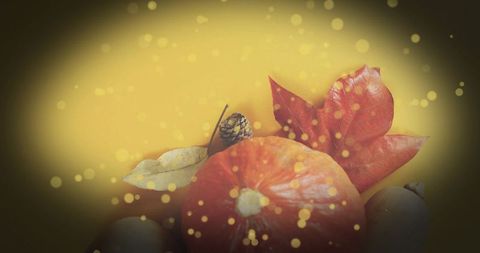 Autumn gourd with red maple leaf, pine cone and warm golden bokeh