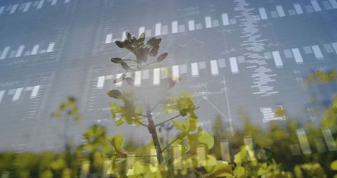 Blending nature and finance: blooming flower with financial charts background