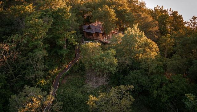 Rustic wooden cabin sitting on forest hillside with winding lit boardwalk during golden hour