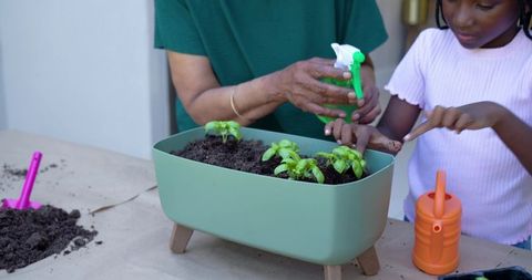 Senior woman guiding girl planting seedlings in mint-green planter for family gardening
