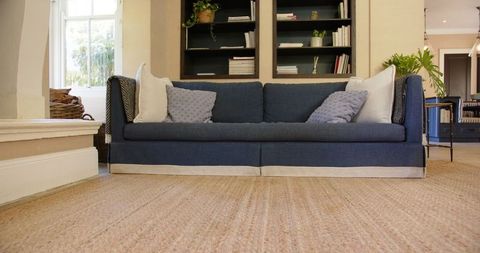 Cozy Living Room with Blue Sofa and Bookshelf - Download Free Stock Images Pikwizard.com
