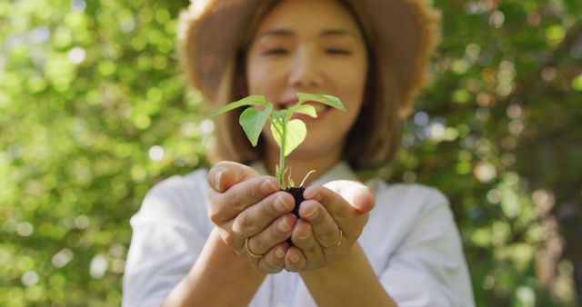 Woman holding young plant growing in her hands, showing joy and dedication to nature. Ideal for use in environmental conservation campaigns, gardening websites, eco-friendly product promotions, or educational materials on sustainability.