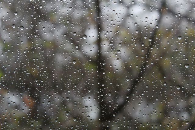 Raindrops scatter on a window glass with a blurred background of autumn foliage. Perfect for use in articles about weather, mood, autumn season, or nature's beauty. It can also be used as a background for text or other media projects to provide a subtle and natural atmosphere.