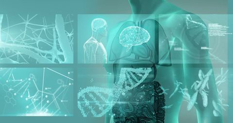 Futuristic Interface with Human Body and Scientific Elements - Download Free Stock Images Pikwizard.com