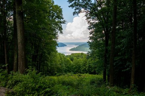 Scenic Forest Path Leading to Mountain Lake View