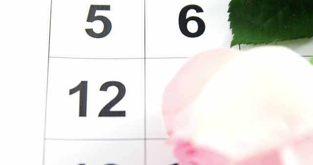 A close-up view of a calendar with a focus on the number 12, with copy space. The blurred foreground suggests a decorative element or a small object, adding a sense of personalization to the timekeeping theme.