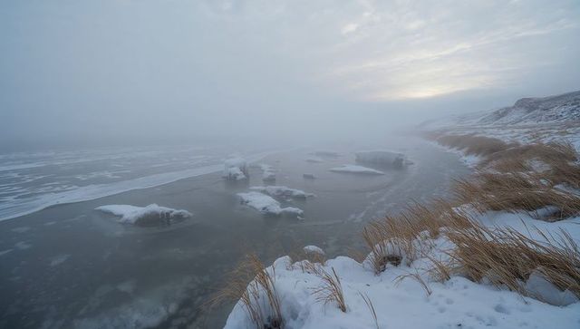 Foggy coastal dunes framing frozen bay with snow-covered ice floes at pale winter sunrise