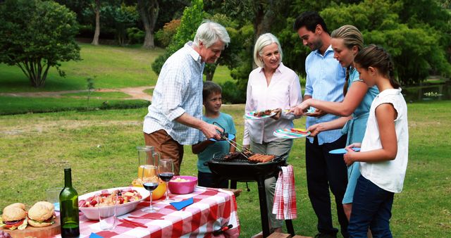 Multigenerational Family Enjoying Picnic Barbecue in Park - Download Free Stock Images Pikwizard.com