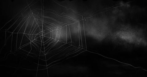 Spider Web in Dark Stormy Sky for Halloween - Download Free Stock Images Pikwizard.com