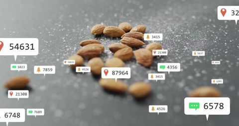Almonds with Digital Overlay Connecting Tech and Culinary World