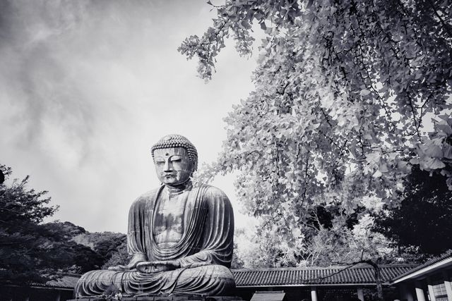 This vivid photo captures a large Buddha statue sitting serenely beneath a tree in a tranquil outdoor setting. The black and white filter accentuates the peaceful and meditative ambiance. Ideal for use in travel brochures, meditation guides, or articles about heritage and cultural landmarks, highlighting the spiritual essence and serenity of the scene.