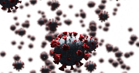 Transparent COVID-19 Virus Cells with Red Spikes - Download Free Stock Videos Pikwizard.com