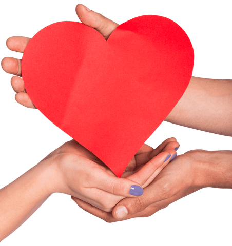 Close-Up of Hands Holding Red Heart on Transparent Background
