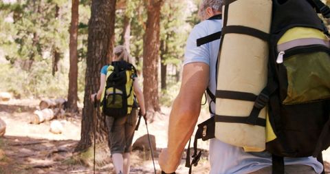 Hikers traversing forest trail with backpacks in slow motion
