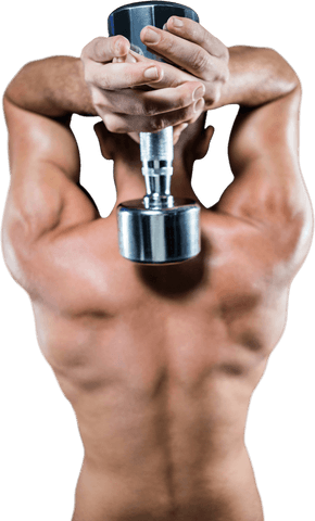 Rear View of Shirtless Man Exercising with Dumbbell - Transparent - Download Free Stock Videos Pikwizard.com