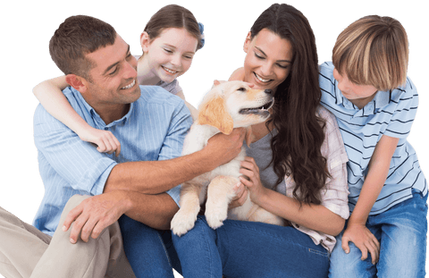 happy family of four playing with dog on transparent background - Download Free Stock Videos Pikwizard.com