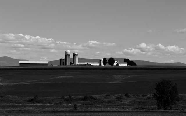 Monochromatic scenery of a rural landscape with farmland and several silos under a clear sky. Mountains are visible in the distant background, providing a picturesque agricultural setting. Ideal for themes of tranquility, agriculture, farm life, and rural living. Great for use in articles, blog posts, and promotional material relating to farming, sustainability, and countryside living.