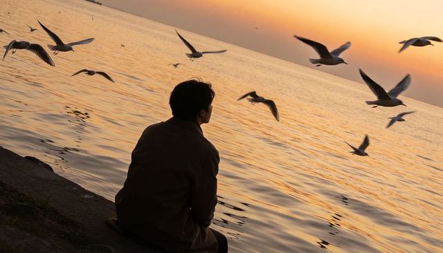 Solitary man sitting on rocky shore at sunset with seagulls flying over calm sea