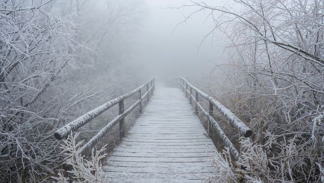 Misty winter wooden boardwalk winding into dense fog through frost-covered marsh and reeds