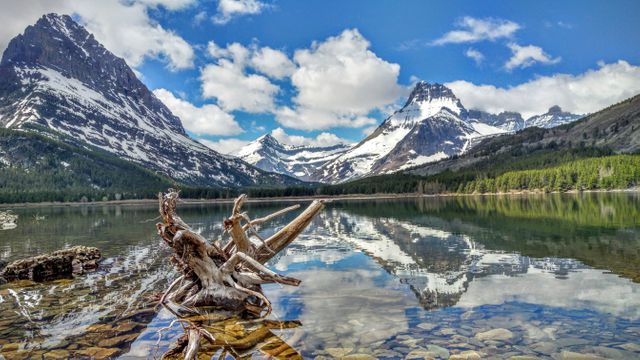 Reflecting snow-capped peaks and a clean skyline, this tranquil mountain lake near a rocky shore with prominent driftwood elements illustrates serene wilderness. Ideal for showcasing untouched nature, travel destinations, outdoor recreation concepts or serene, peaceful settings.