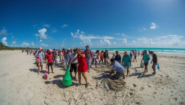 Community volunteers collecting beach trash bags along tropical shoreline during cleanup