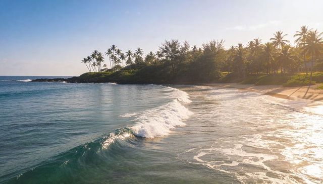 Breaking wave rolling toward sunlit tropical beach with palm trees and reflective wet sand