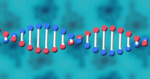 Colorful DNA Strand Model on Blue Background