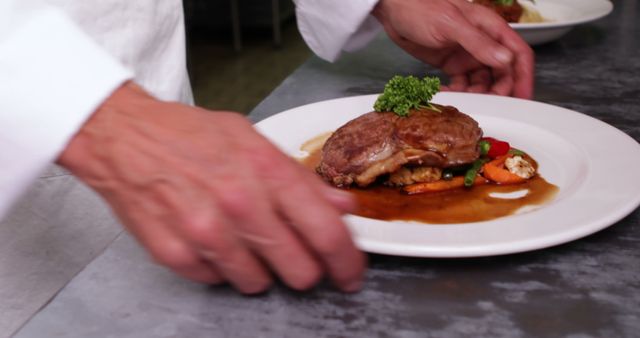 Chef Presenting Gourmet Steak Dish with Vegetables and Sauce - Download Free Stock Images Pikwizard.com