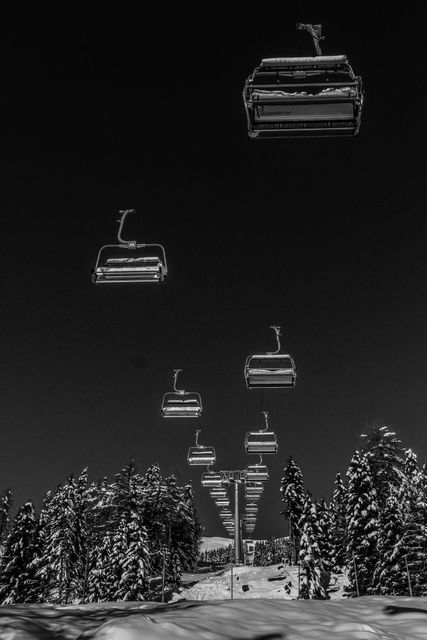 This black and white image shows empty ski lifts ascending a snow-covered mountain surrounded by trees. Perfect for use in winter tourism materials, scenic backgrounds, or promotional content for skiing destinations.