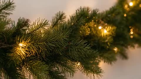 Panning shot revealing evergreen garland draped with warm white string lights and bokeh