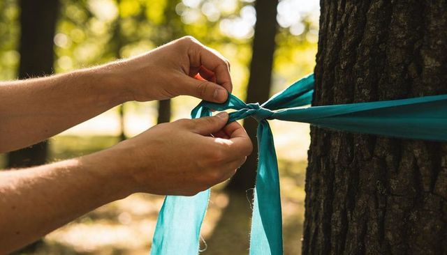Tying teal ribbon around tree trunk by hands securing knot outdoor event decoration