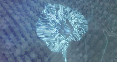 Digital brain circuitry with networking connections