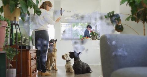 Woman Training Three Dogs at Home in Minimalist Setting with Natural Elements