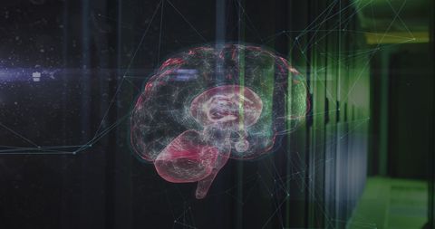 Digital Connectivity in Brain and Technology Fusion Concept - Download Free Stock Images Pikwizard.com