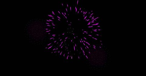 Vibrant Firework Display Against Midnight Sky