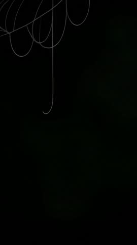 Displaying minimal white line scribble on black vertical canvas for social video and mobile screens