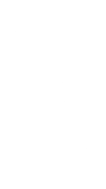 Transparent Silhouette of Male Football Player Standing in Victory Pose - Download Free Stock Videos Pikwizard.com