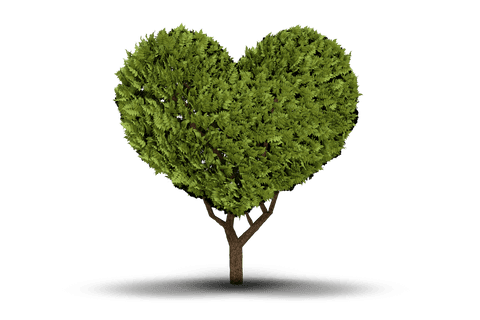 heart shaped tree on transparent background illustration - Download Free Stock Videos Pikwizard.com