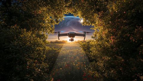 Hovering drone illuminating wildflower meadow through bush arch at twilight, planet horizon