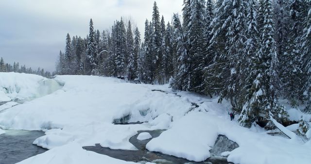 Beautiful snowy forest with a frozen river and pine trees covered in snow. Ideal for depicting winter scenery, wilderness retreats, nature explorations, or seasonal themed projects. Suitable for creating holiday cards, travel advertisements, or nature conservation promotions.