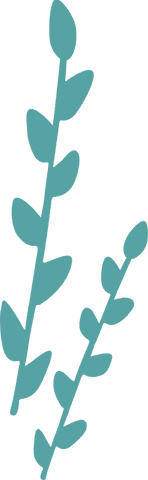 Minimalist teal plant stems with transparent background for organic designs
