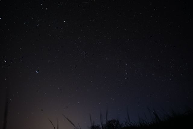 Starry Night Sky with Silhouetted Grass - Download Free Stock Photos Pikwizard.com