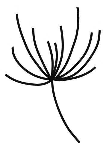 Minimalistic Seed Head Doodle on Transparent Background