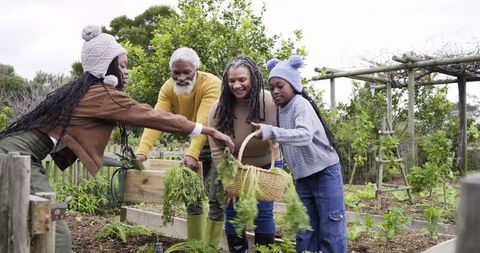 Multigenerational family harvesting carrots in backyard raised-bed garden