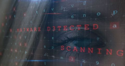 Cybersecurity monitoring system with malware detection overlay