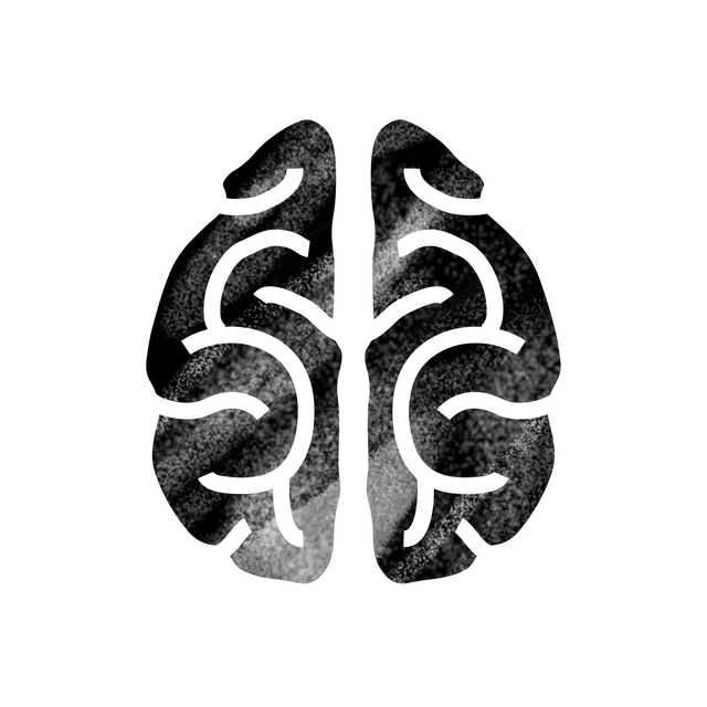 Transparent Human Brain Outline Drawing with Black Texture Fill - Download Free Stock Videos Pikwizard.com